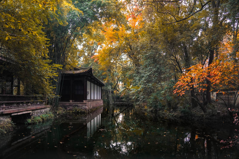 秋林水榭静谧景-摄影图
