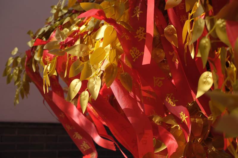 金叶红绸迎新春-摄影图