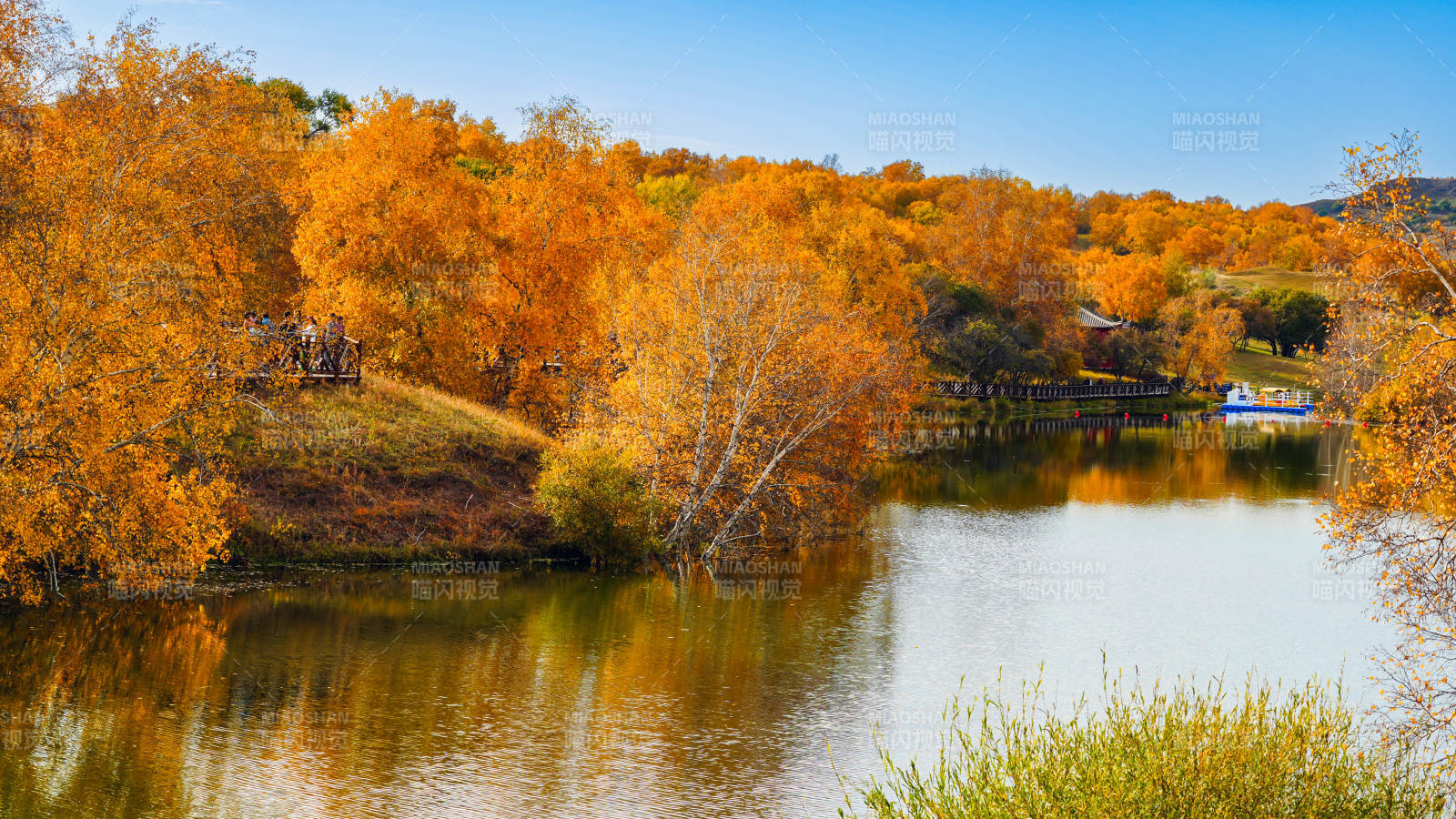 烏蘭布統公主湖金葉映水-攝影圖
