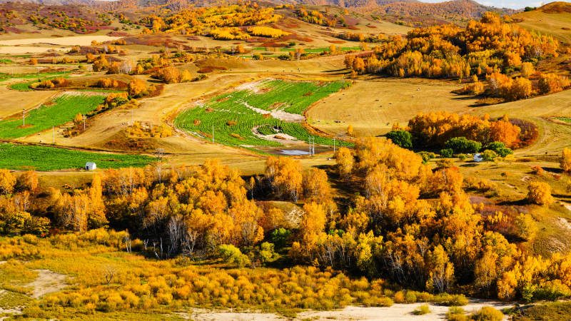 乌兰布统秋日田园风光-摄影图