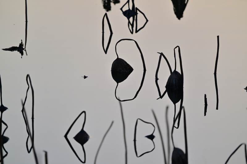 抽象线条艺术-摄影图