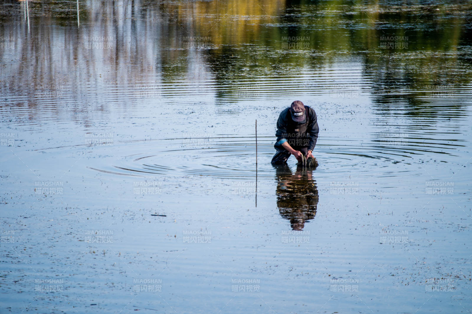 湖中垂钓人影-摄影图