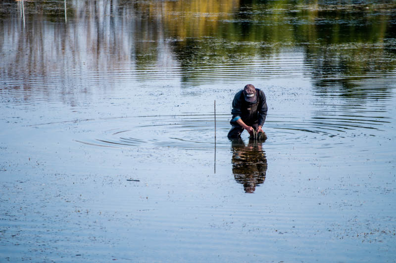湖中垂钓人影-摄影图