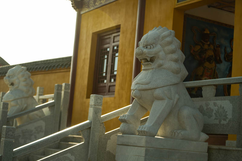 石狮守庙门-摄影图