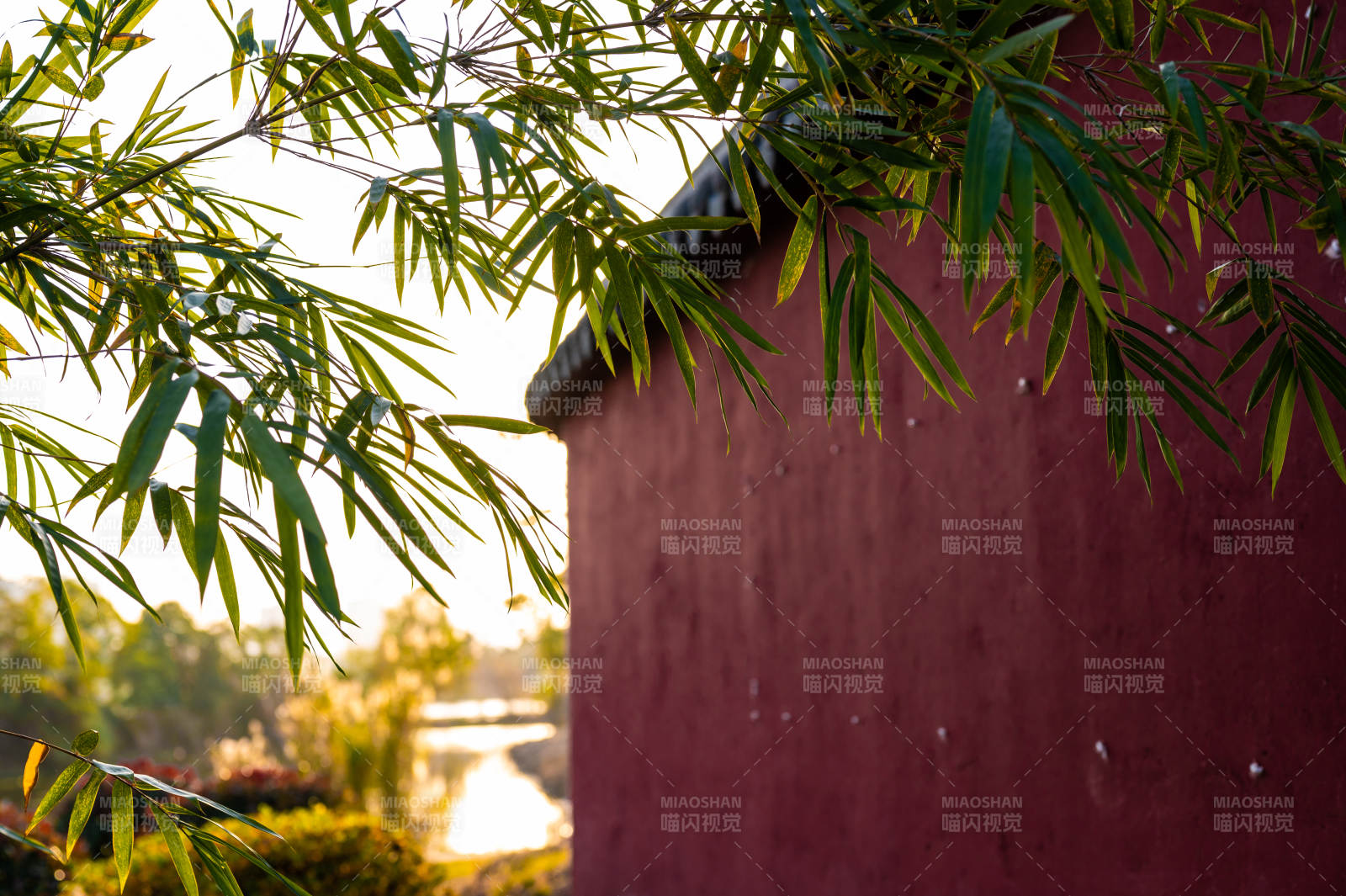 竹影紅墻映斜陽-大冶三清觀-攝影圖