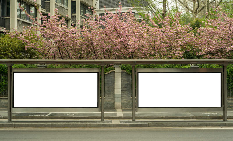 櫻花下的公交站-攝影圖