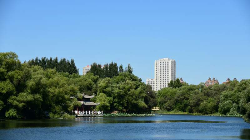 湖畔绿树映高楼-摄影图