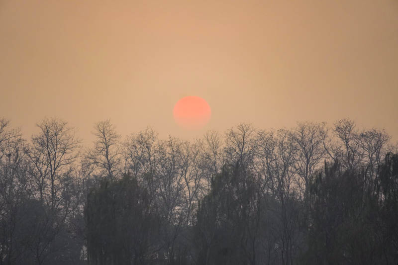 夕陽與樹林-攝影圖