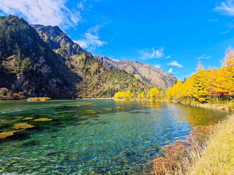 秋山碧水映金林-摄影图