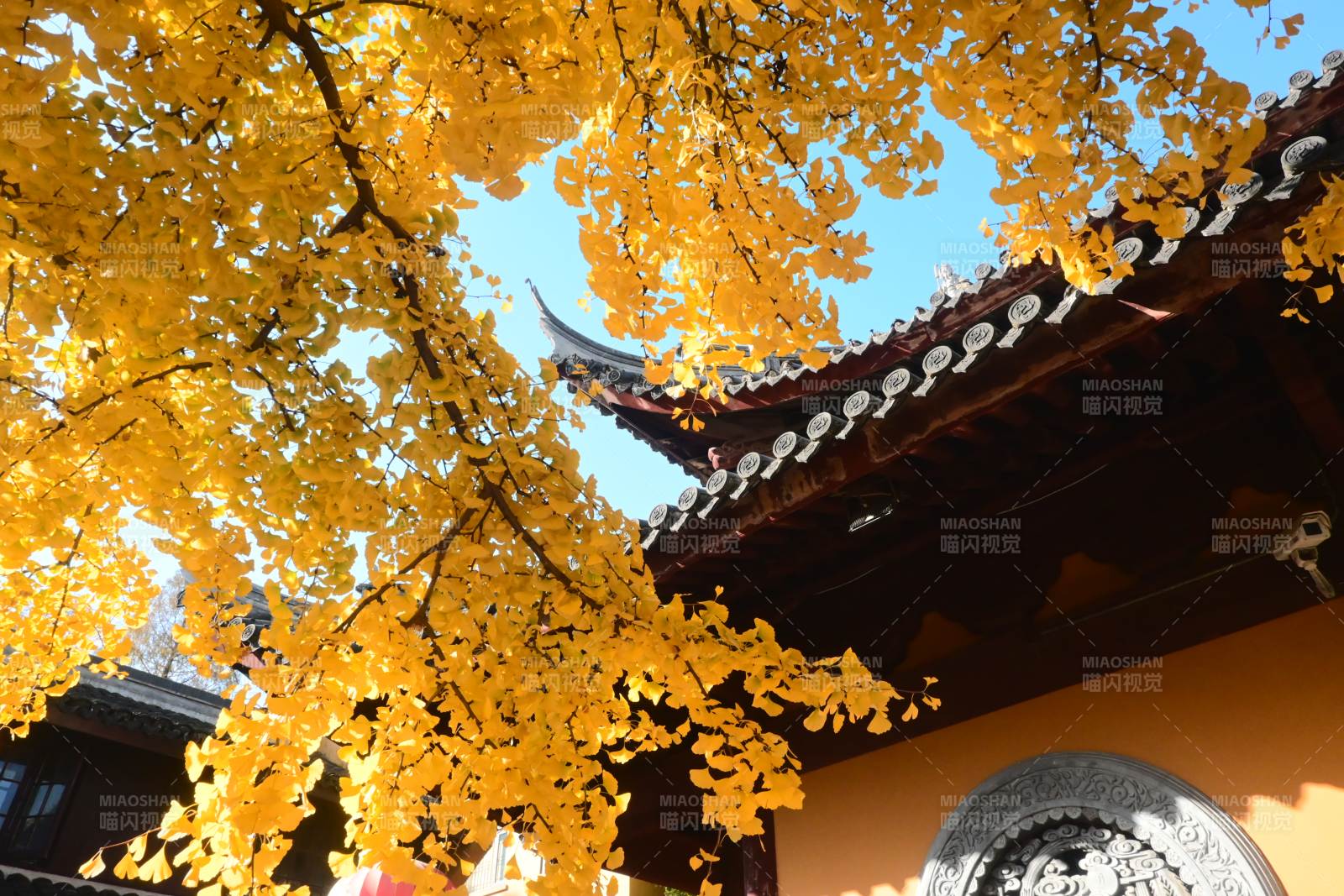 秋叶映古寺-摄影图