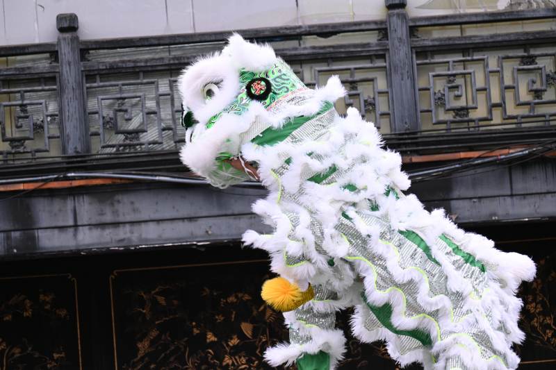 舞狮表演-摄影图