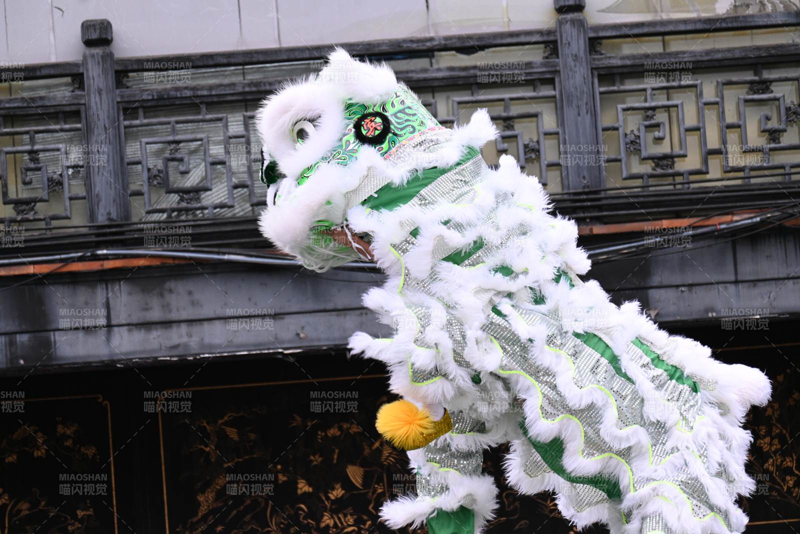 舞獅表演-攝影圖