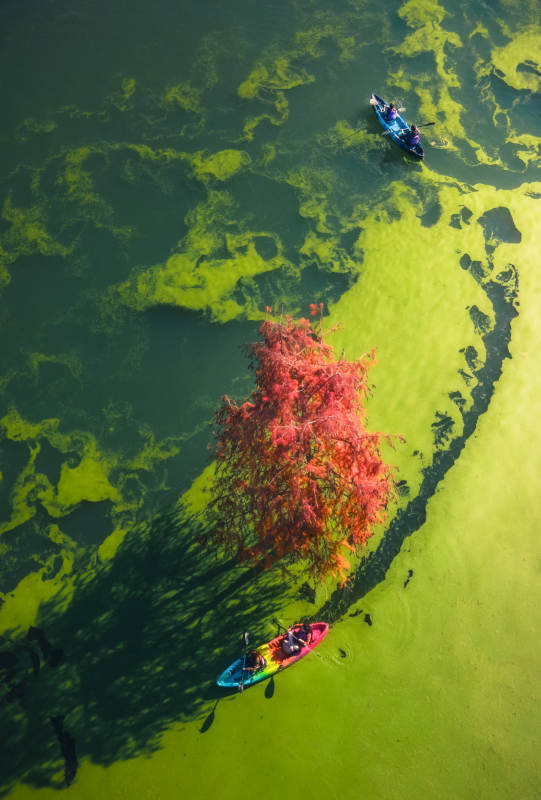 临安青山湖：秋色湖光 独木舟影-摄影图