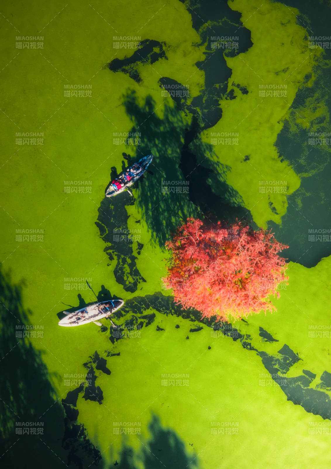 秋水泛舟 红叶映绿-摄影图