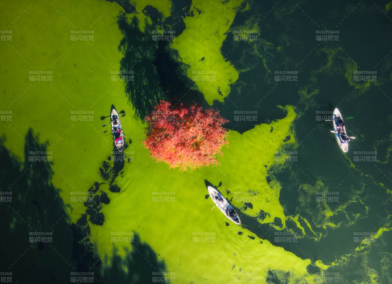 湖上秋色行舟-摄影图