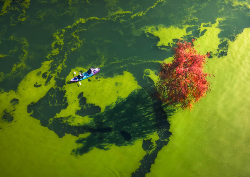 湖上独舟映红树-摄影图