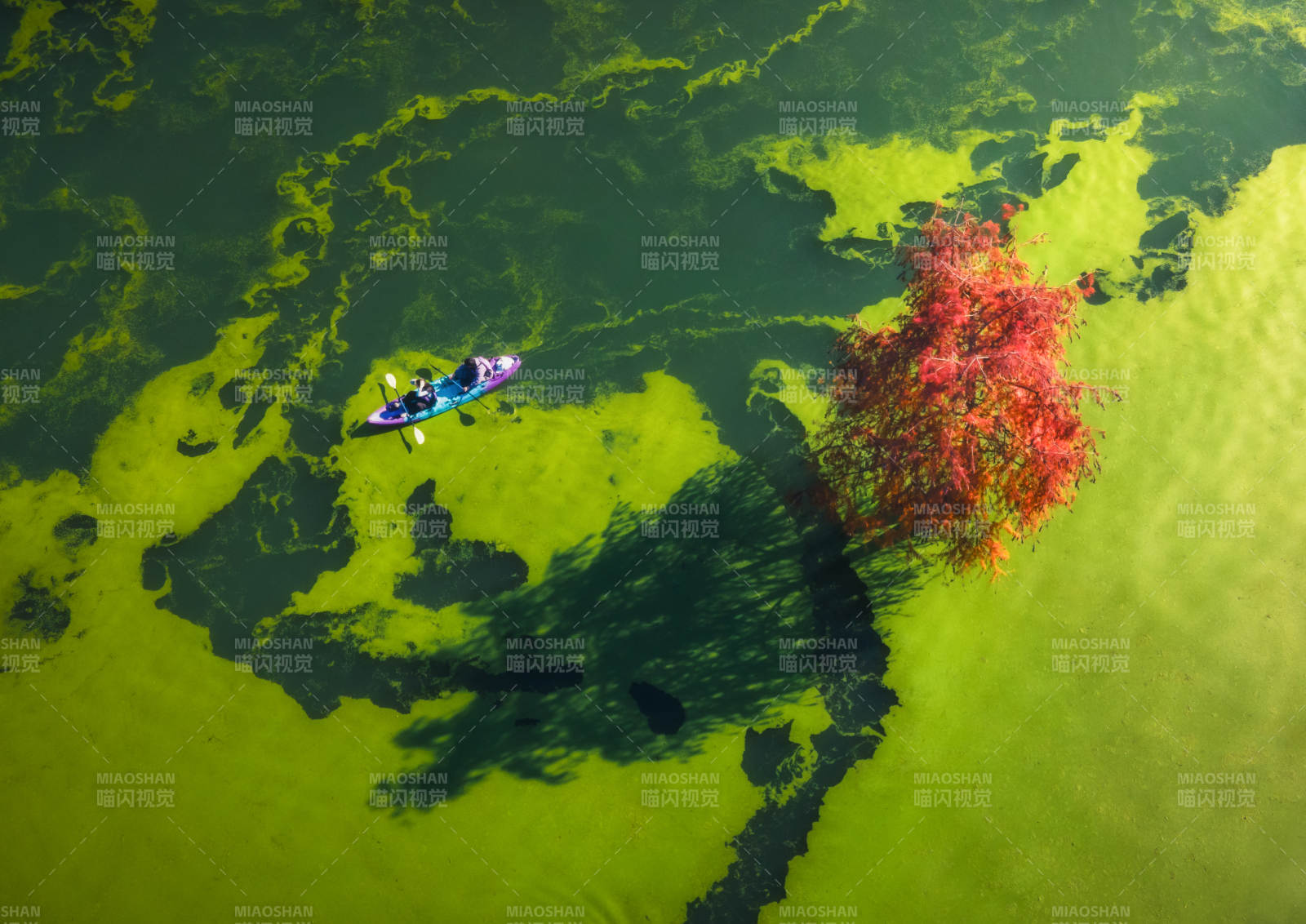 湖上独舟映红树-摄影图