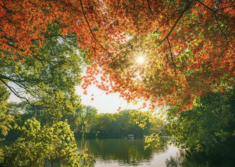 秋日湖光樹影-攝影圖