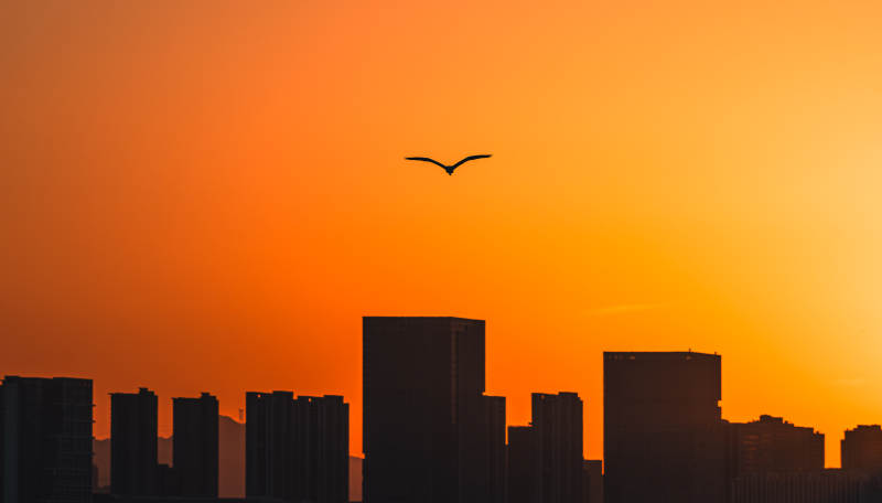 臨安青山湖：暮色中的城市剪影-攝影圖