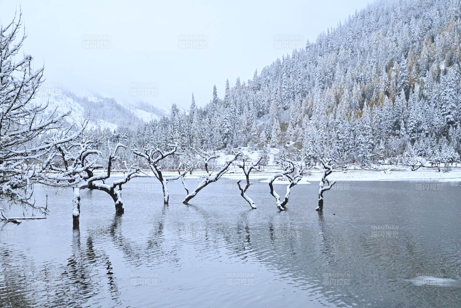 雪湖静影-摄影图