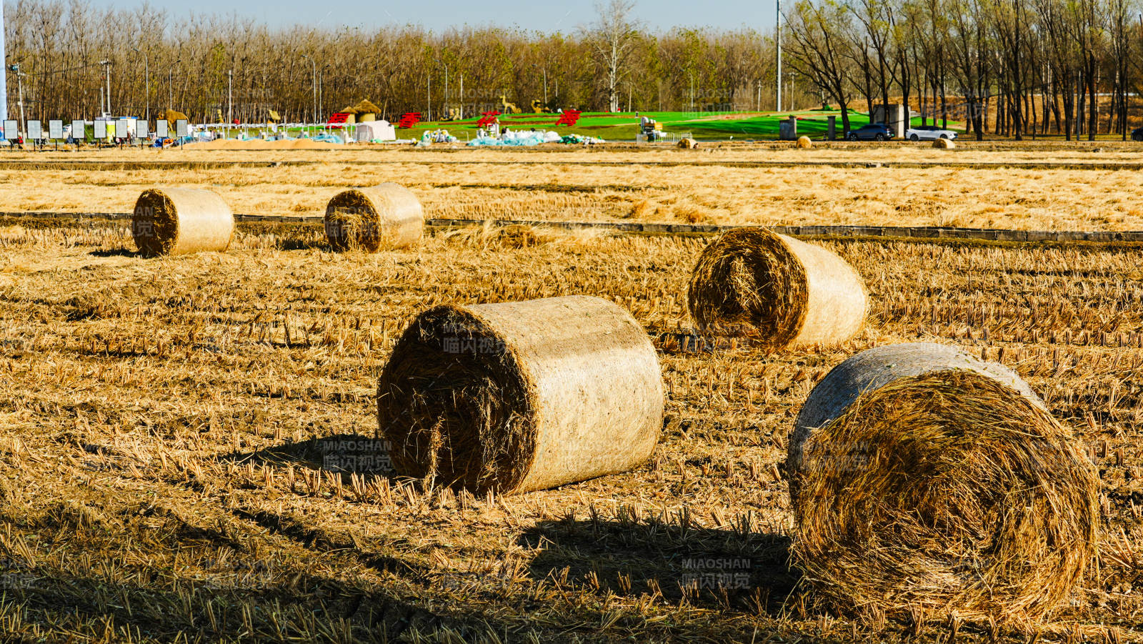 京西稻田金秋草垛图-摄影图