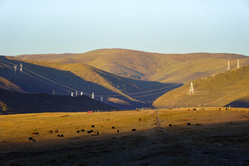 草原牧歌-摄影图
