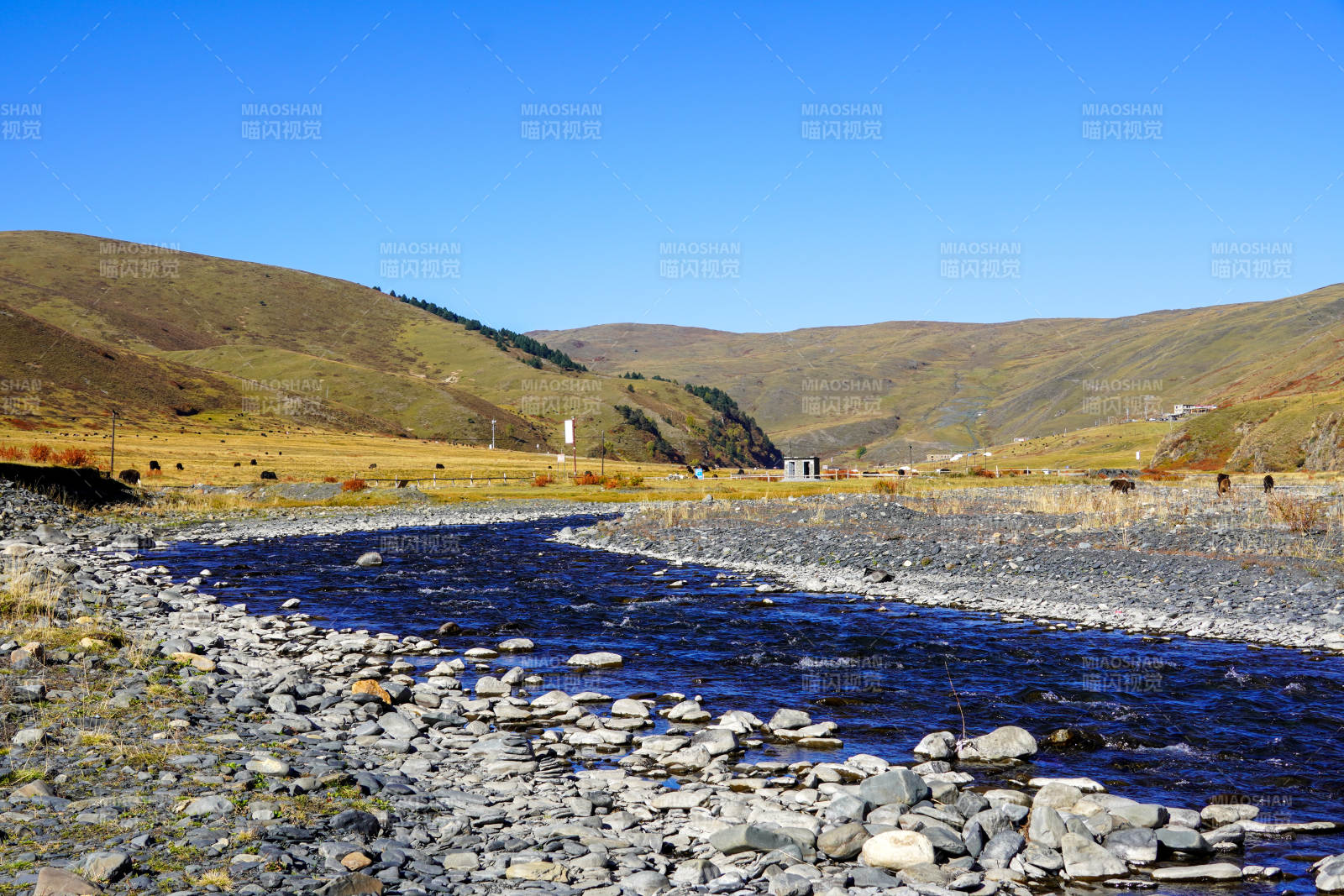 川西的溪流-摄影图