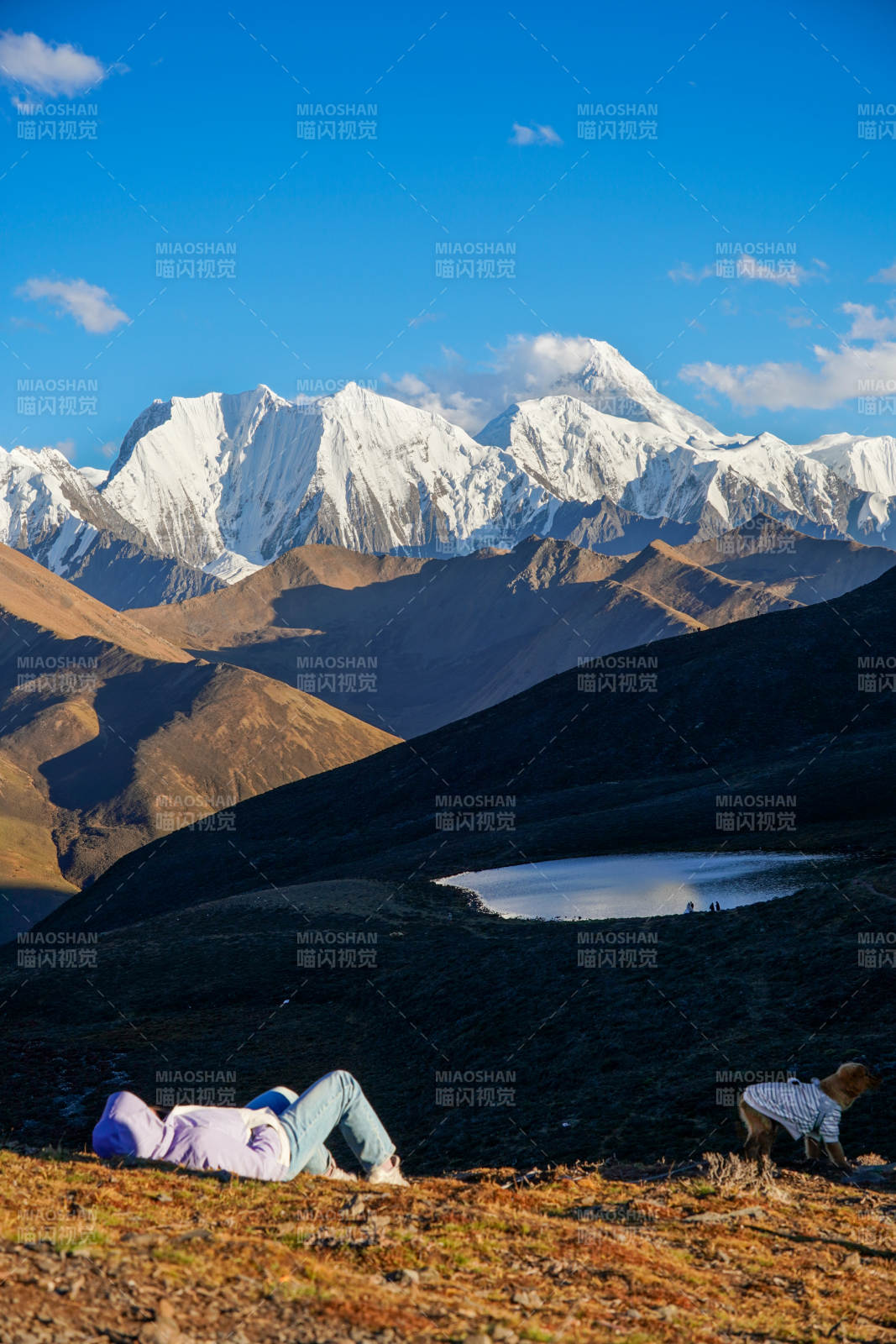 带上宠物登雪山-摄影图