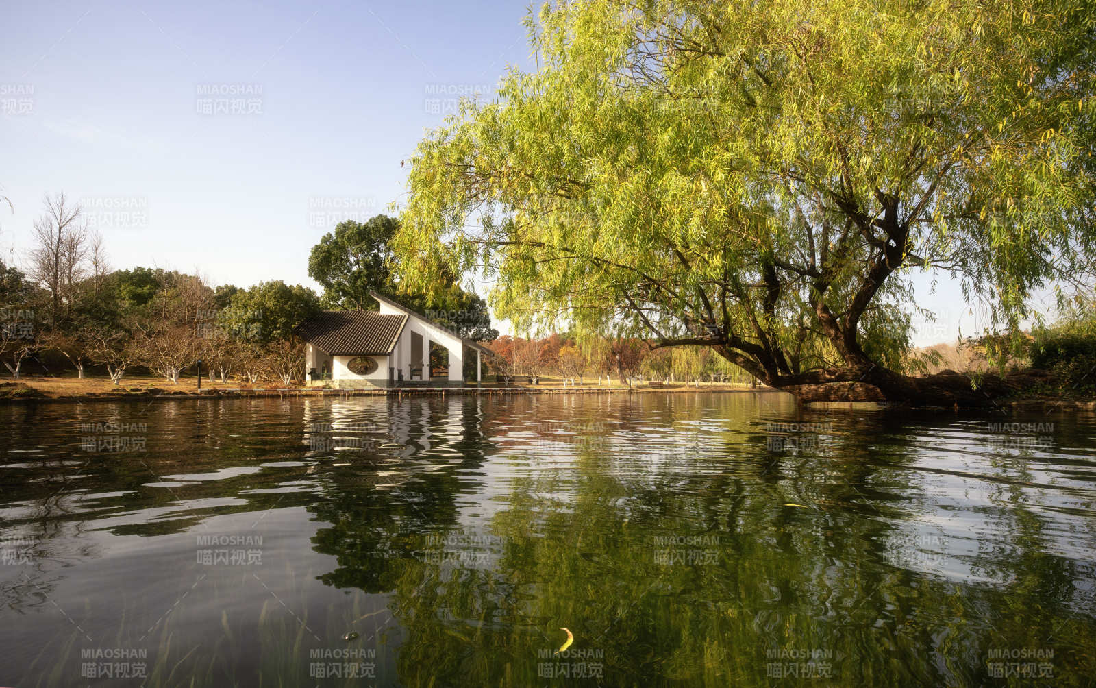 湖畔柳影小屋-攝影圖