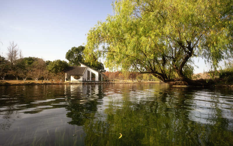 湖畔柳影小屋-攝影圖