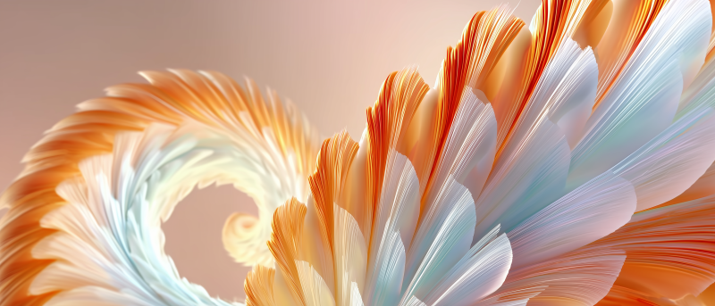 3D羽毛會展背景圖彩羽旋舞-圖片