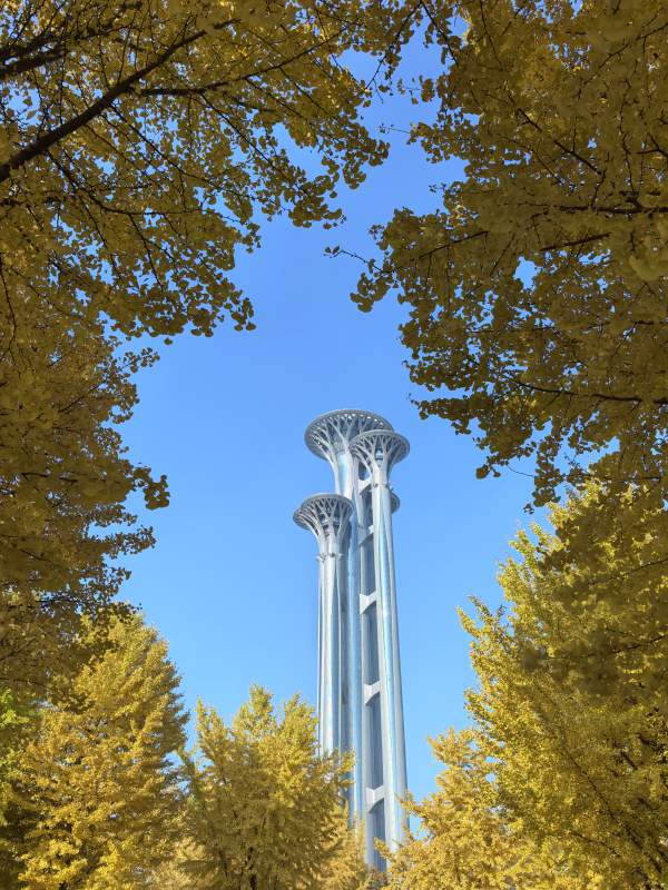 秋林中的未來塔-攝影圖