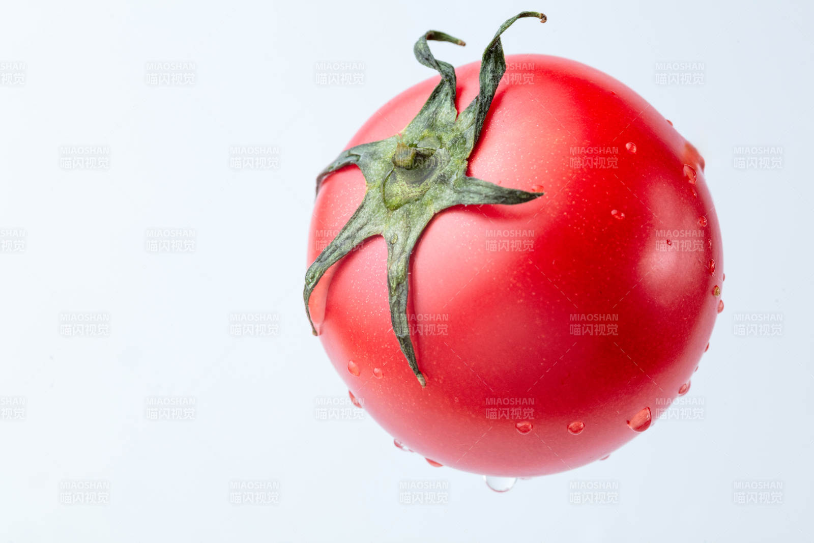 鮮紅番茄水珠欲滴-攝影圖