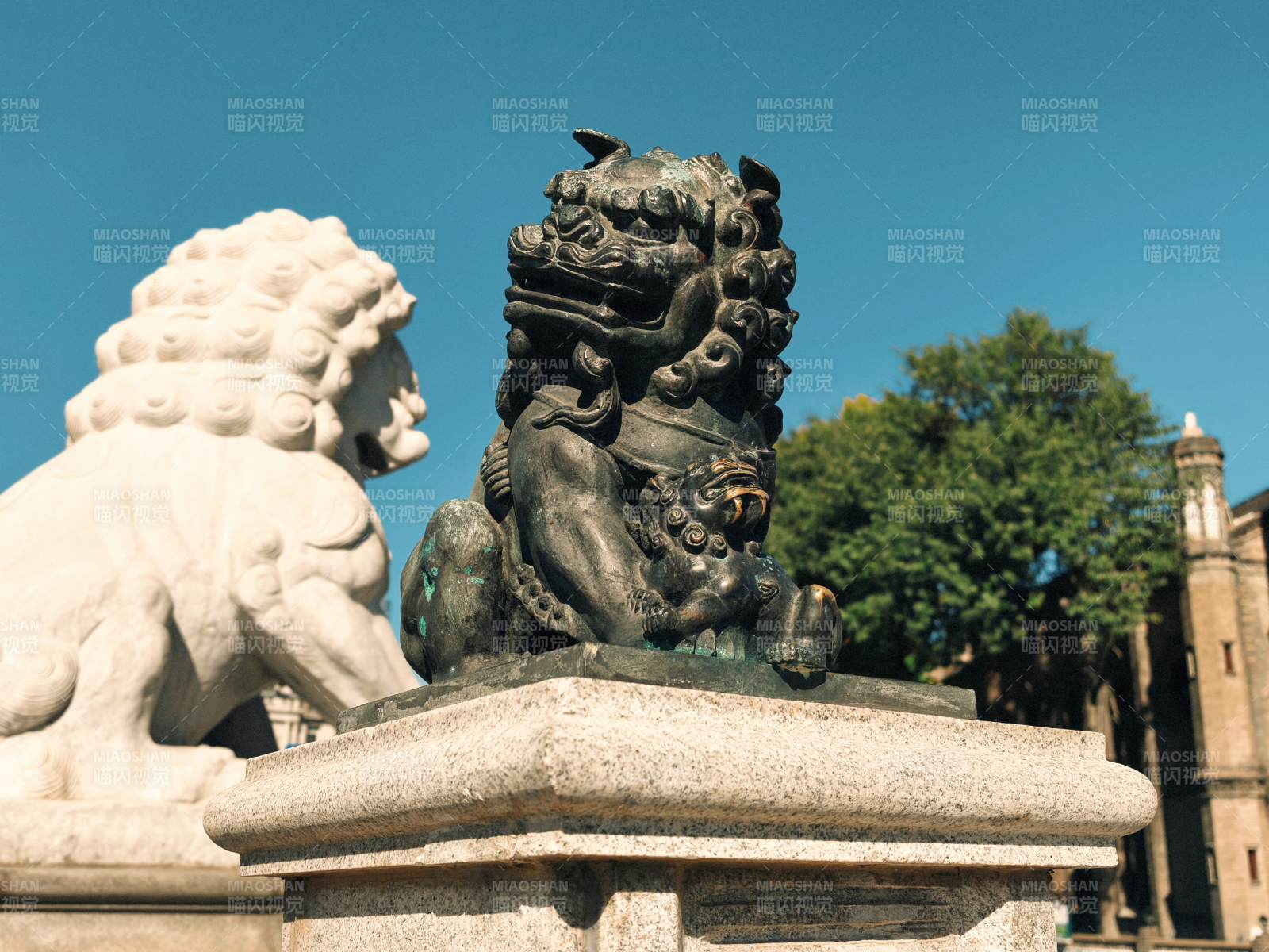 石獅守護古建筑-攝影圖