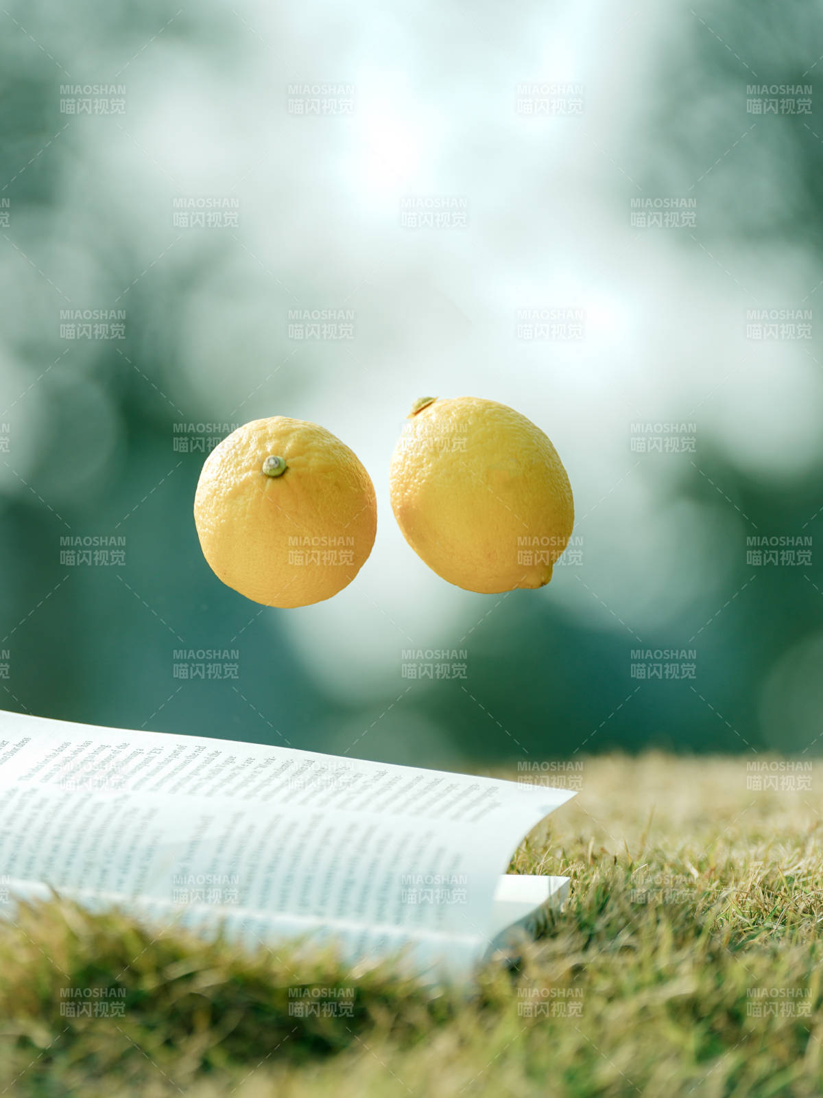 檸檬躍動書頁間-攝影圖
