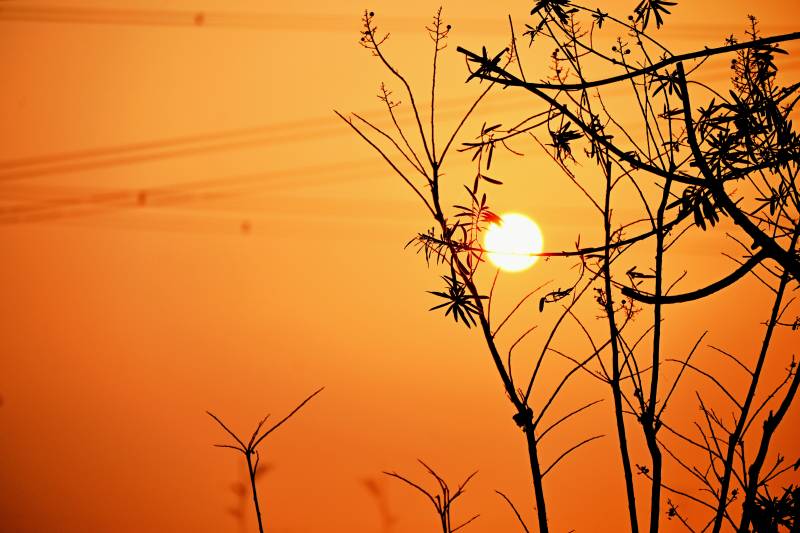 夕陽剪影-攝影圖