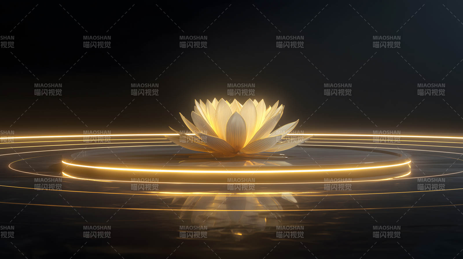 蓮花光芒靜謐之美-圖片