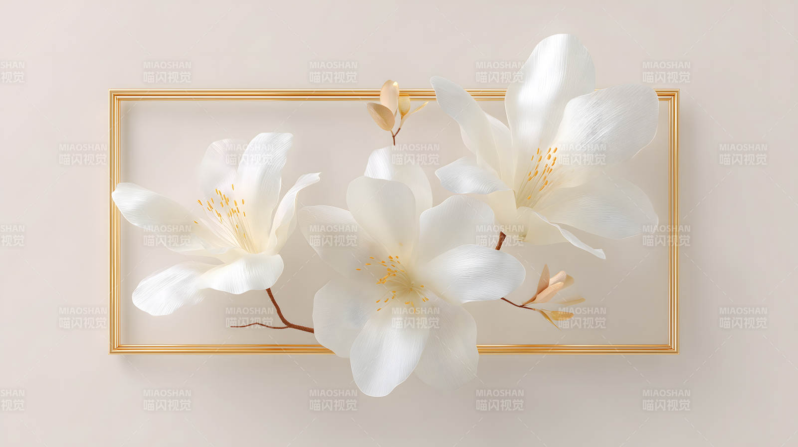 金框内白花绽放图片