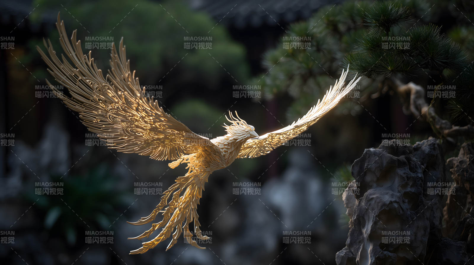 金鳳凰飛翔美如畫-圖片