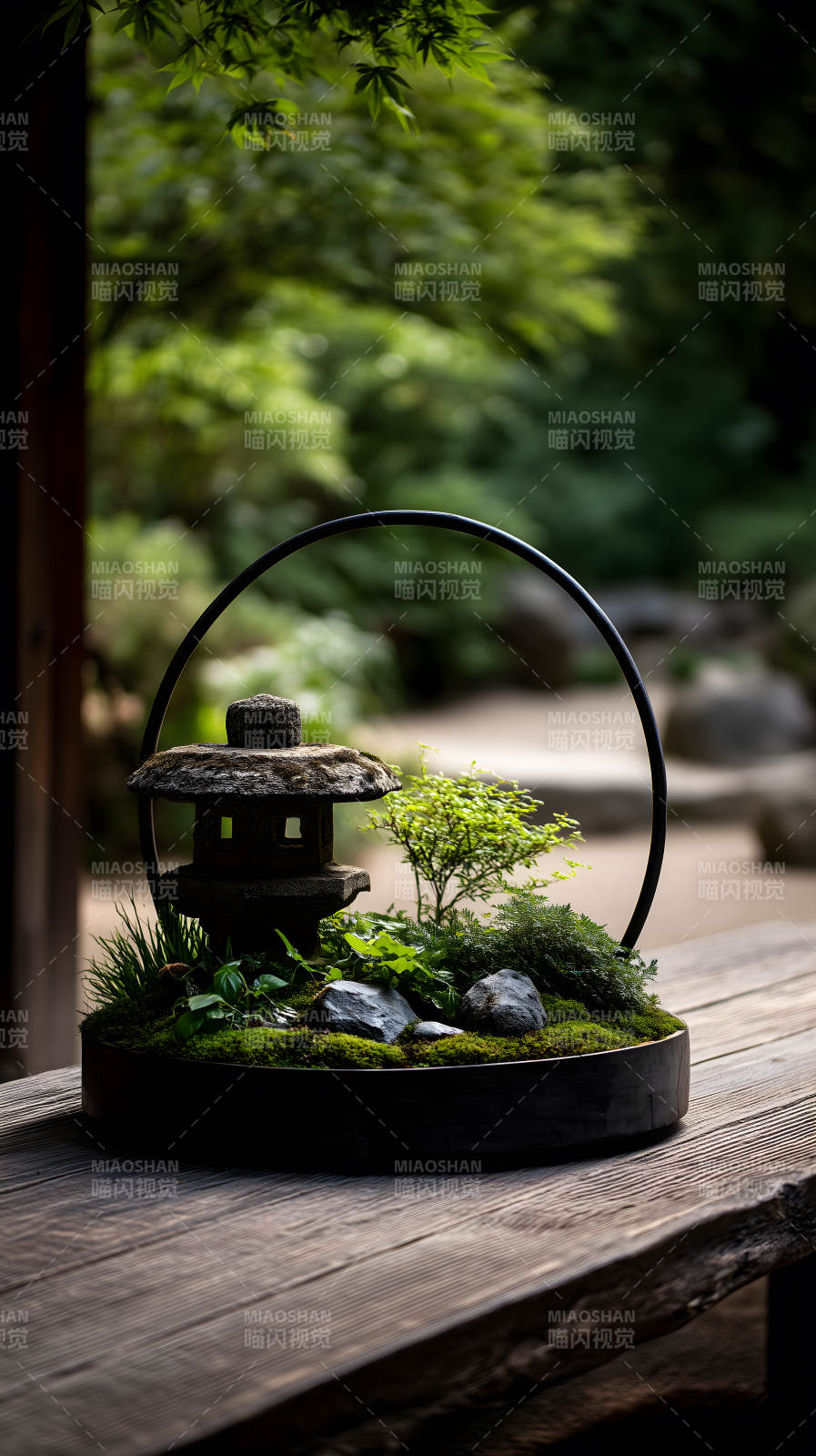 庭院盆景精致美观-图片