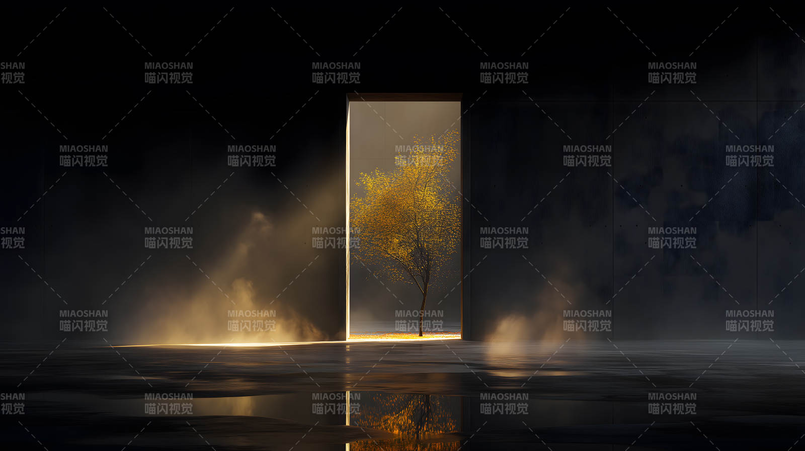 光影下的樹(shù)與空間-圖片