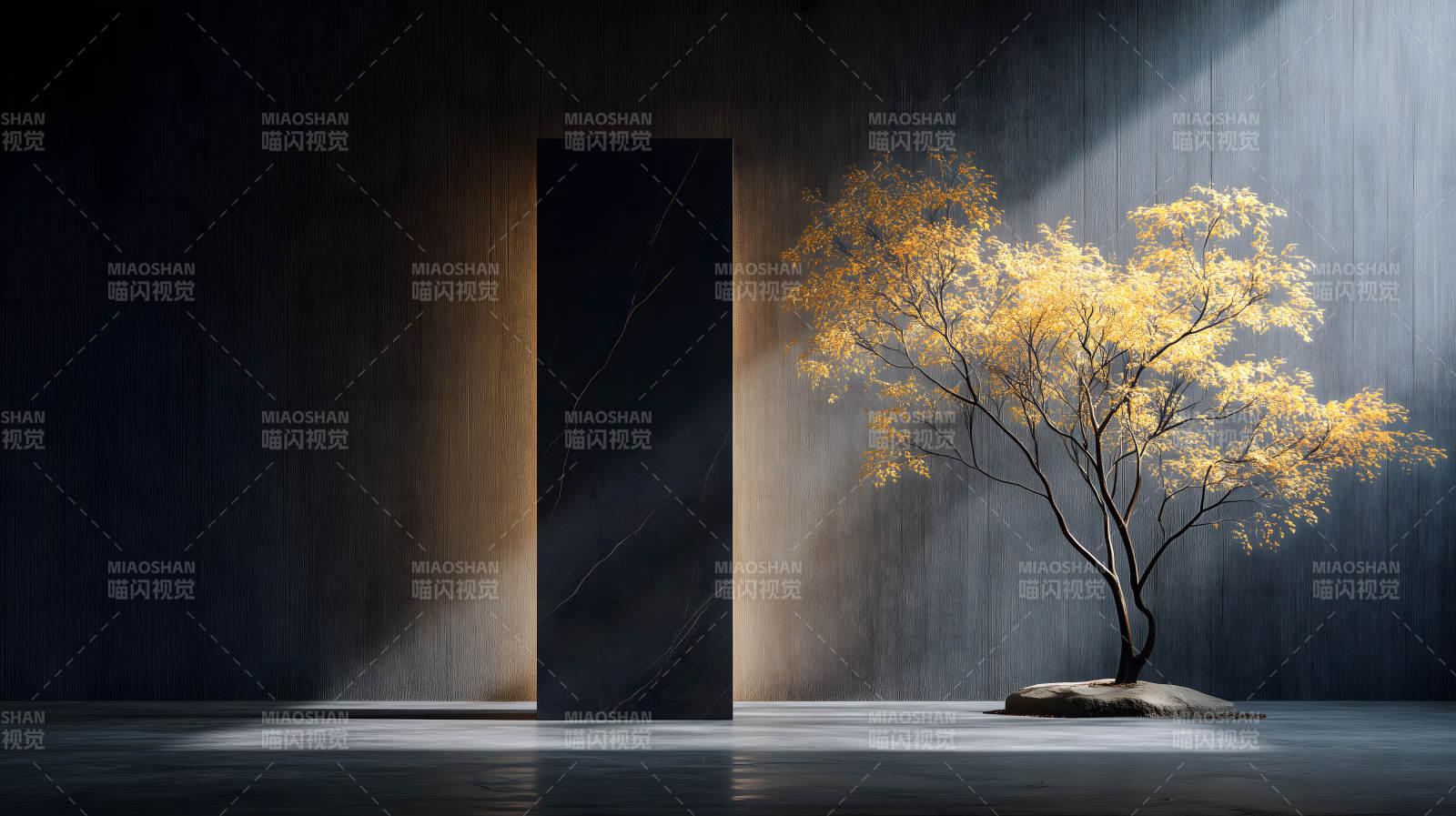 宁静氛围树影斑驳图片