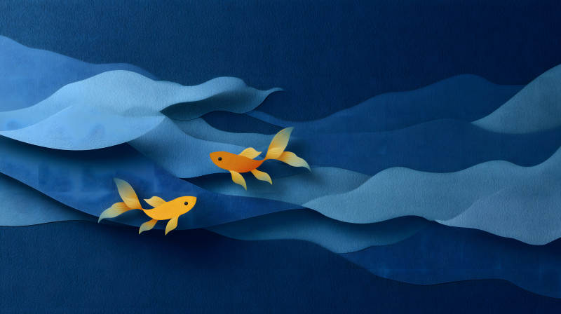 藍色魚兒游動-圖片