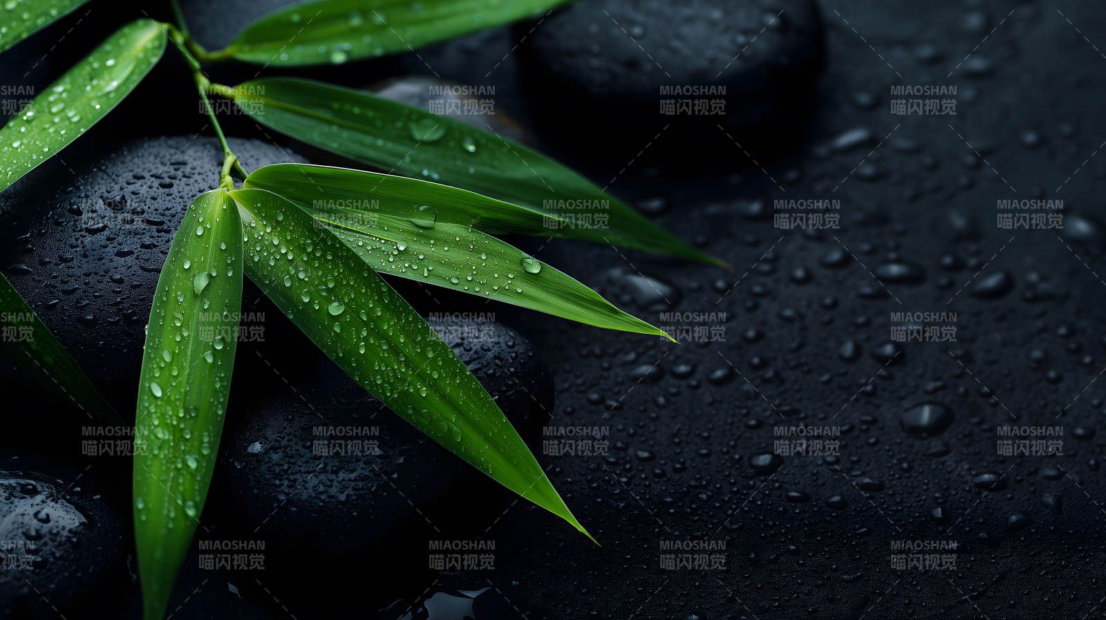 竹叶与鹅卵石的禅意图片