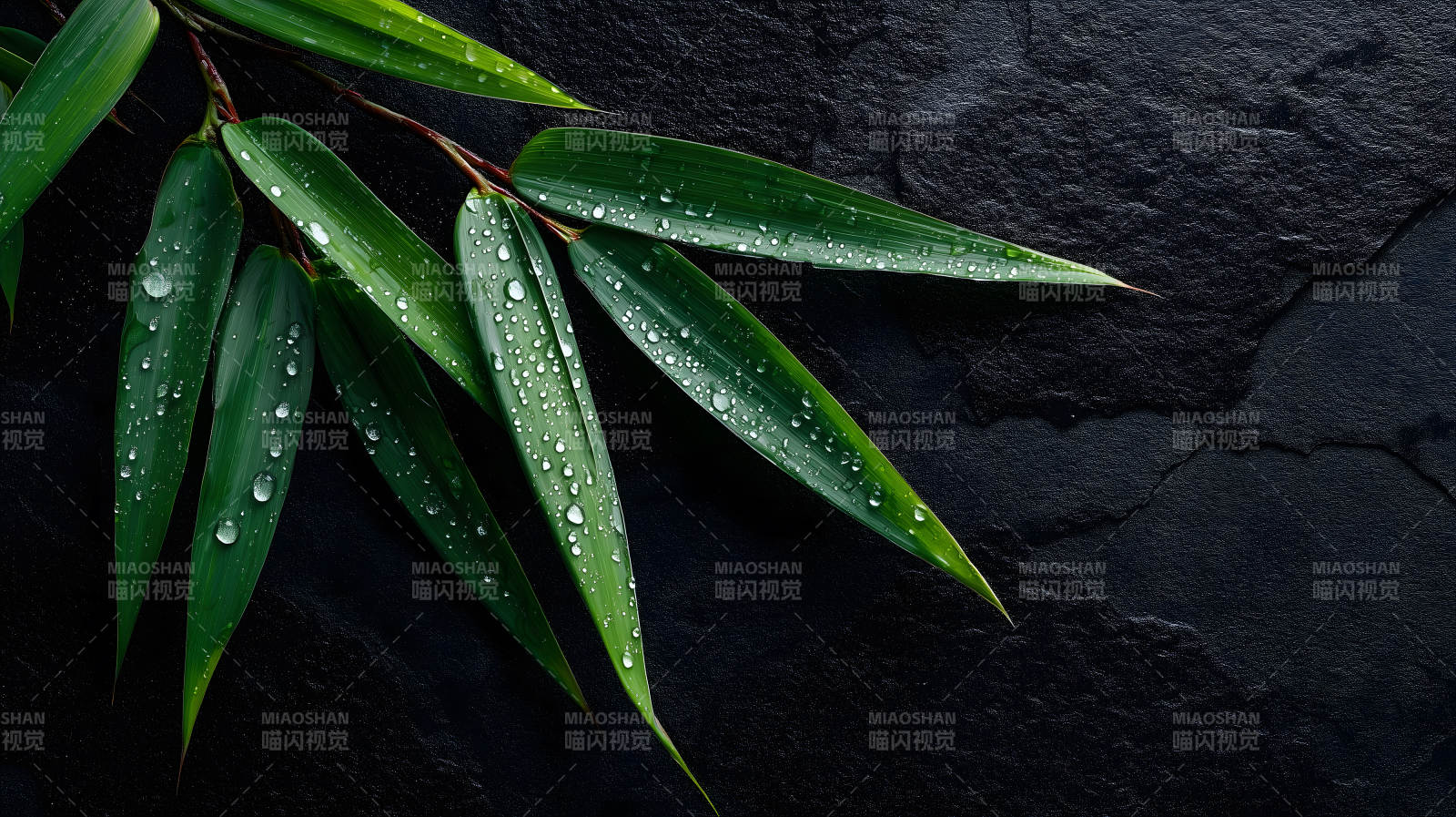 竹叶雨滴黑石-图片