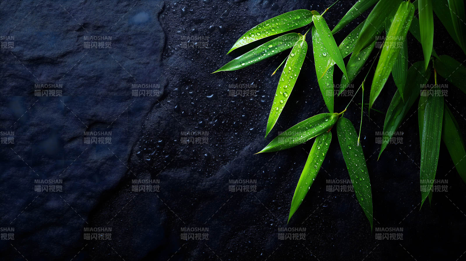 翠竹雨滴黑石背景-图片