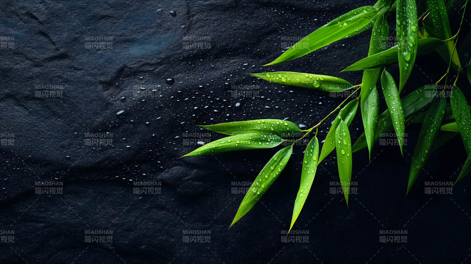 竹叶黑石水滴图片