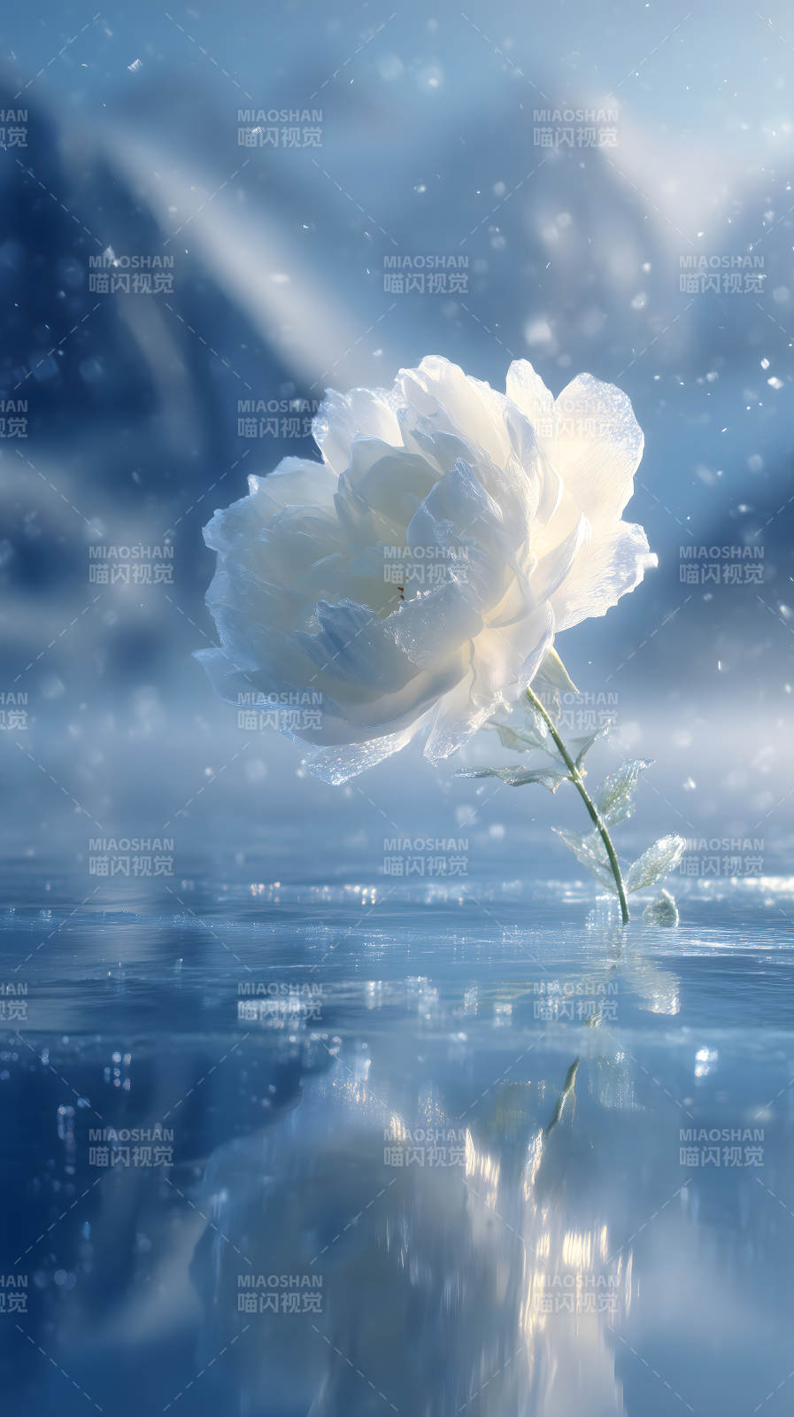 冰花绽放水面唯美-图片