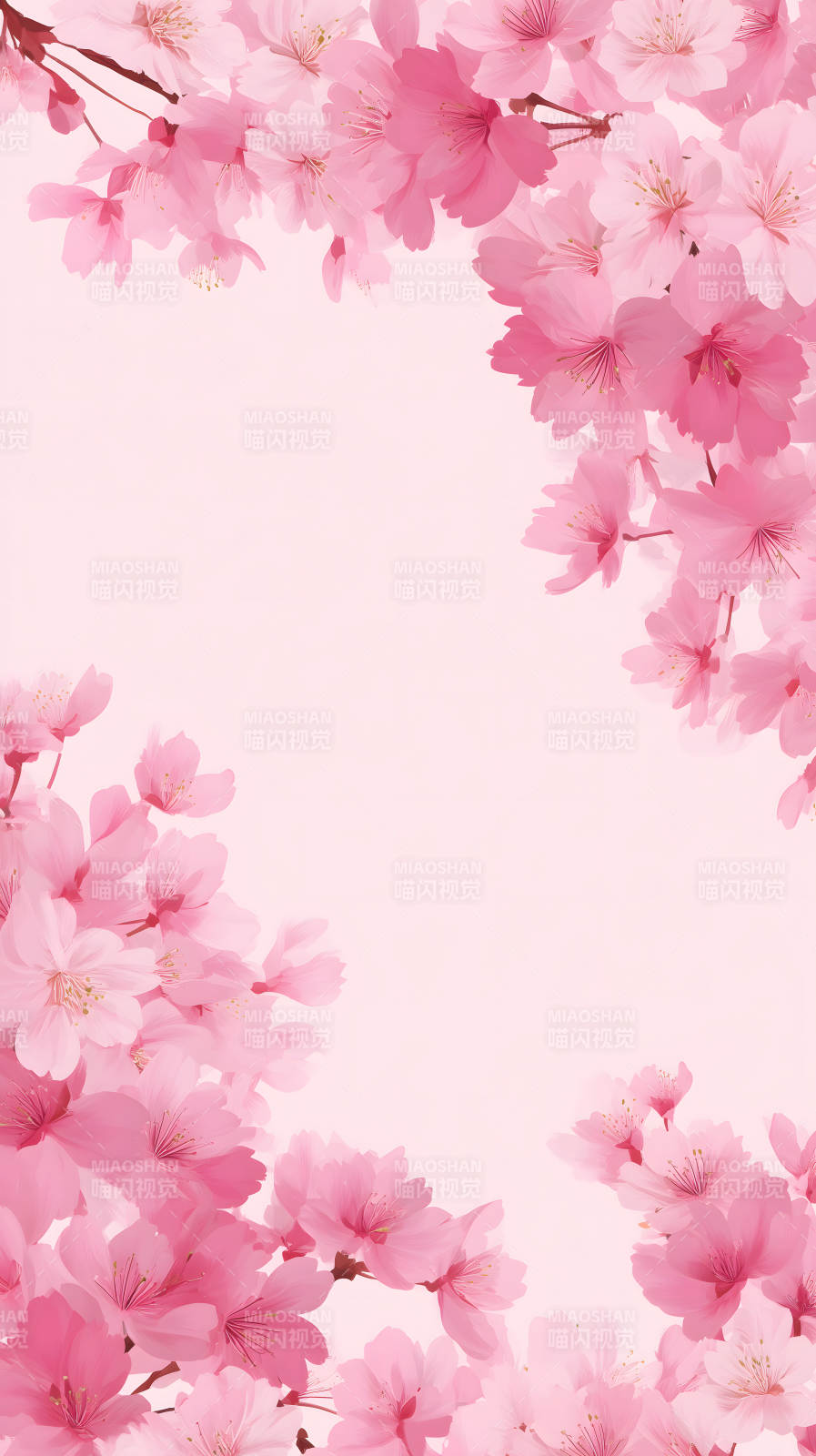 粉色樱花浪漫绽放-图片