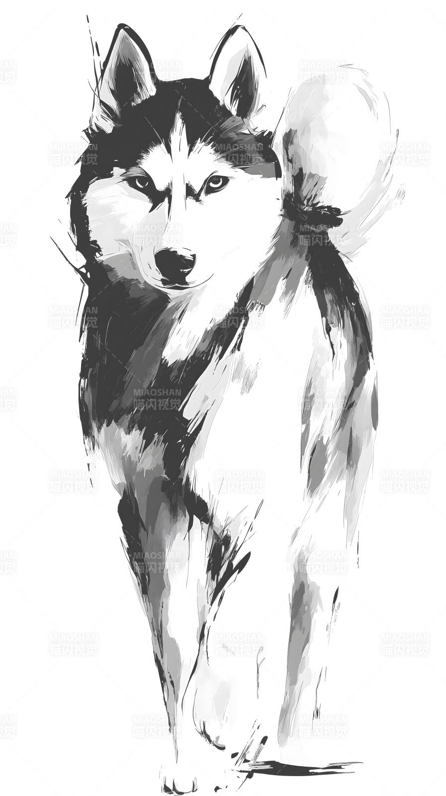 水墨哈士奇霸气十足-图片